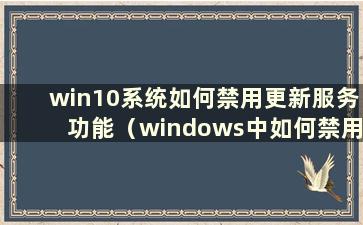 win10系统如何禁用更新服务功能（windows中如何禁用更新）