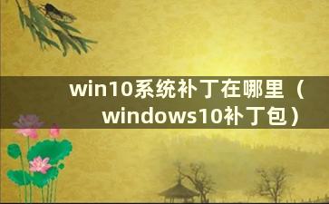 win10系统补丁在哪里（windows10补丁包）