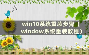 win10系统重装步骤（window系统重装教程）