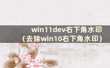 win11dev右下角水印（去除win10右下角水印）