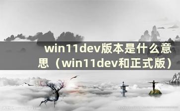 win11dev版本是什么意思（win11dev和正式版）