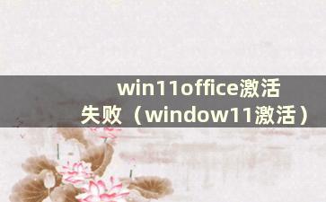 win11office激活失败（window11激活）