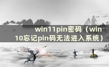 win11pin密码（win10忘记pin码无法进入系统）