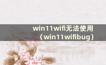 win11wifi无法使用（win11wifibug）