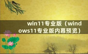 win11专业版（windows11专业版内幕预览）