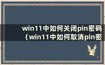 win11中如何关闭pin密码（win11中如何取消pin密码）