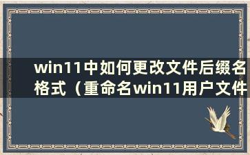 win11中如何更改文件后缀名格式（重命名win11用户文件夹）