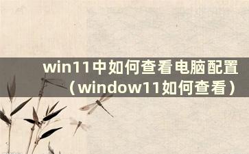 win11中如何查看电脑配置（window11如何查看）