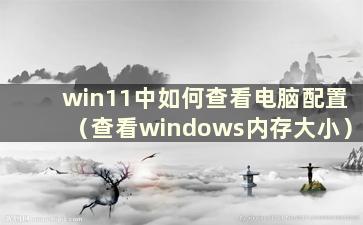 win11中如何查看电脑配置（查看windows内存大小）