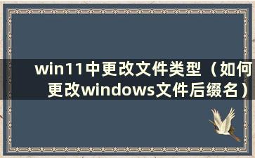 win11中更改文件类型（如何更改windows文件后缀名）