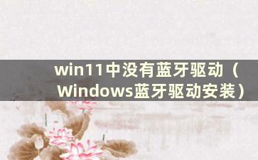 win11中没有蓝牙驱动（Windows蓝牙驱动安装）