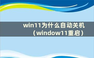 win11为什么自动关机（window11重启）