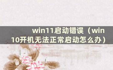 win11启动错误（win10开机无法正常启动怎么办）