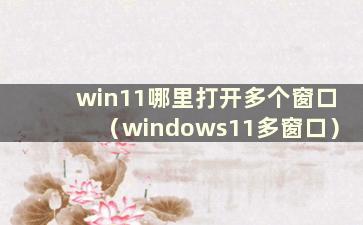 win11哪里打开多个窗口（windows11多窗口）