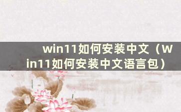 win11如何安装中文（Win11如何安装中文语言包）