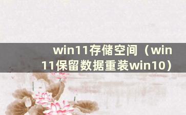 win11存储空间（win11保留数据重装win10）