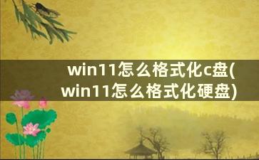 win11怎么格式化c盘(win11怎么格式化硬盘)