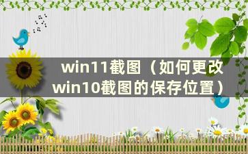 win11截图（如何更改win10截图的保存位置）