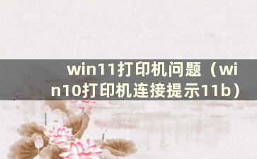 win11打印机问题（win10打印机连接提示11b）