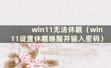 win11无法休眠（win11设置休眠唤醒并输入密码）