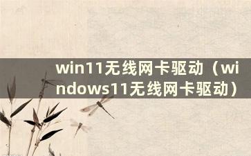 win11无线网卡驱动（windows11无线网卡驱动）