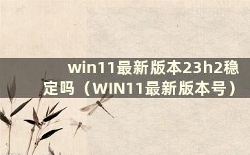 win11最新版本23h2稳定吗（WIN11最新版本号）