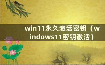 win11永久激活密钥（windows11密钥激活）