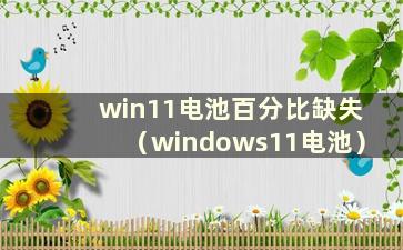 win11电池百分比缺失（windows11电池）