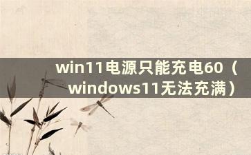 win11电源只能充电60（windows11无法充满）