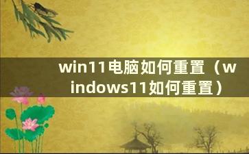 win11电脑如何重置（windows11如何重置）