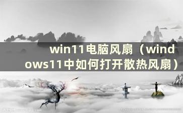 win11电脑风扇（windows11中如何打开散热风扇）