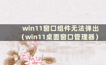 win11窗口组件无法弹出（win11桌面窗口管理器）