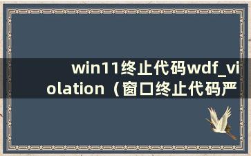 win11终止代码wdf_violation（窗口终止代码严重）