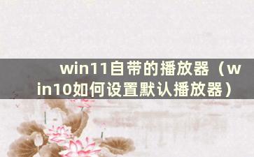 win11自带的播放器（win10如何设置默认播放器）