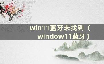 win11蓝牙未找到（window11蓝牙）