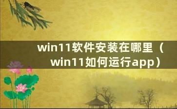 win11软件安装在哪里（win11如何运行app）