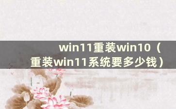 win11重装win10（重装win11系统要多少钱）