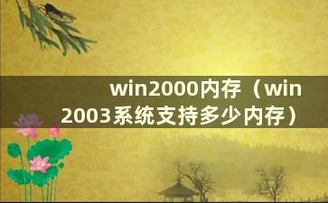 win2000内存（win2003系统支持多少内存）