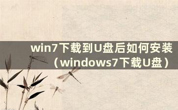 win7下载到U盘后如何安装（windows7下载U盘）