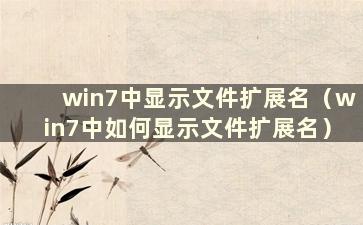 win7中显示文件扩展名（win7中如何显示文件扩展名）