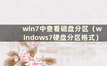 win7中查看磁盘分区（windows7硬盘分区格式）