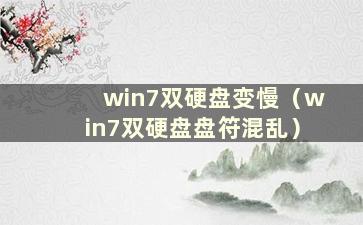 win7双硬盘变慢（win7双硬盘盘符混乱）