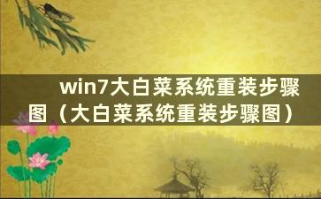 win7大白菜系统重装步骤图（大白菜系统重装步骤图）