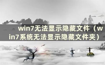 win7无法显示隐藏文件（win7系统无法显示隐藏文件夹）