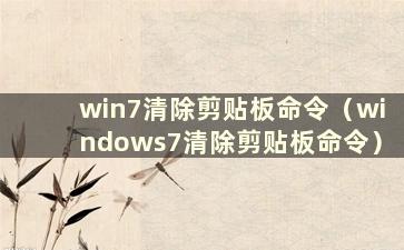 win7清除剪贴板命令（windows7清除剪贴板命令）