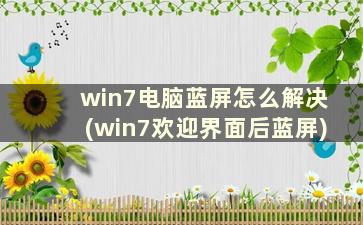 win7电脑蓝屏怎么解决(win7欢迎界面后蓝屏)