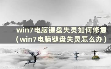 win7电脑键盘失灵如何修复（win7电脑键盘失灵怎么办）