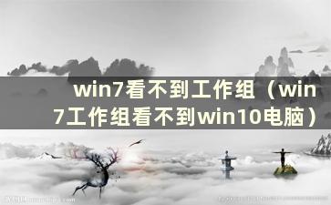 win7看不到工作组（win7工作组看不到win10电脑）