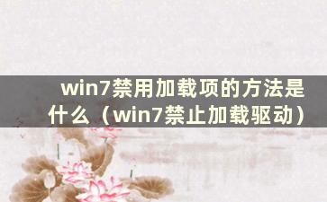 win7禁用加载项的方法是什么（win7禁止加载驱动）