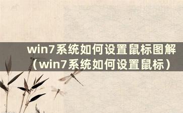 win7系统如何设置鼠标图解（win7系统如何设置鼠标）